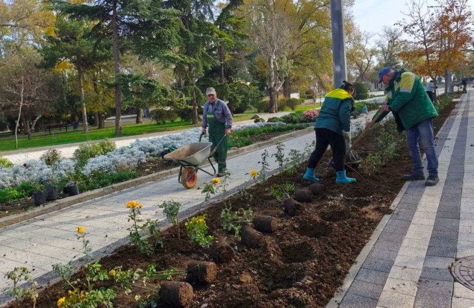 � �������� ������������ ������� �������� �������������