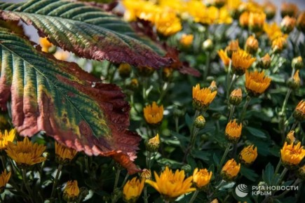 Прогноз погоды в Крыму на пятницу