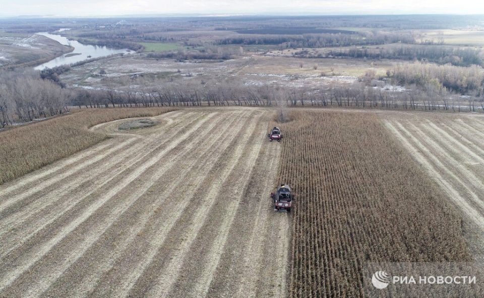 � ����� � ������ ���� ������ ��� ������� �������������