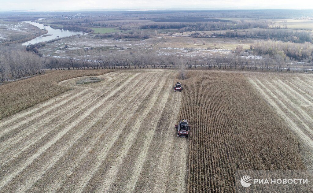 В Крыму с начала года изъяли три участка сельхозземель