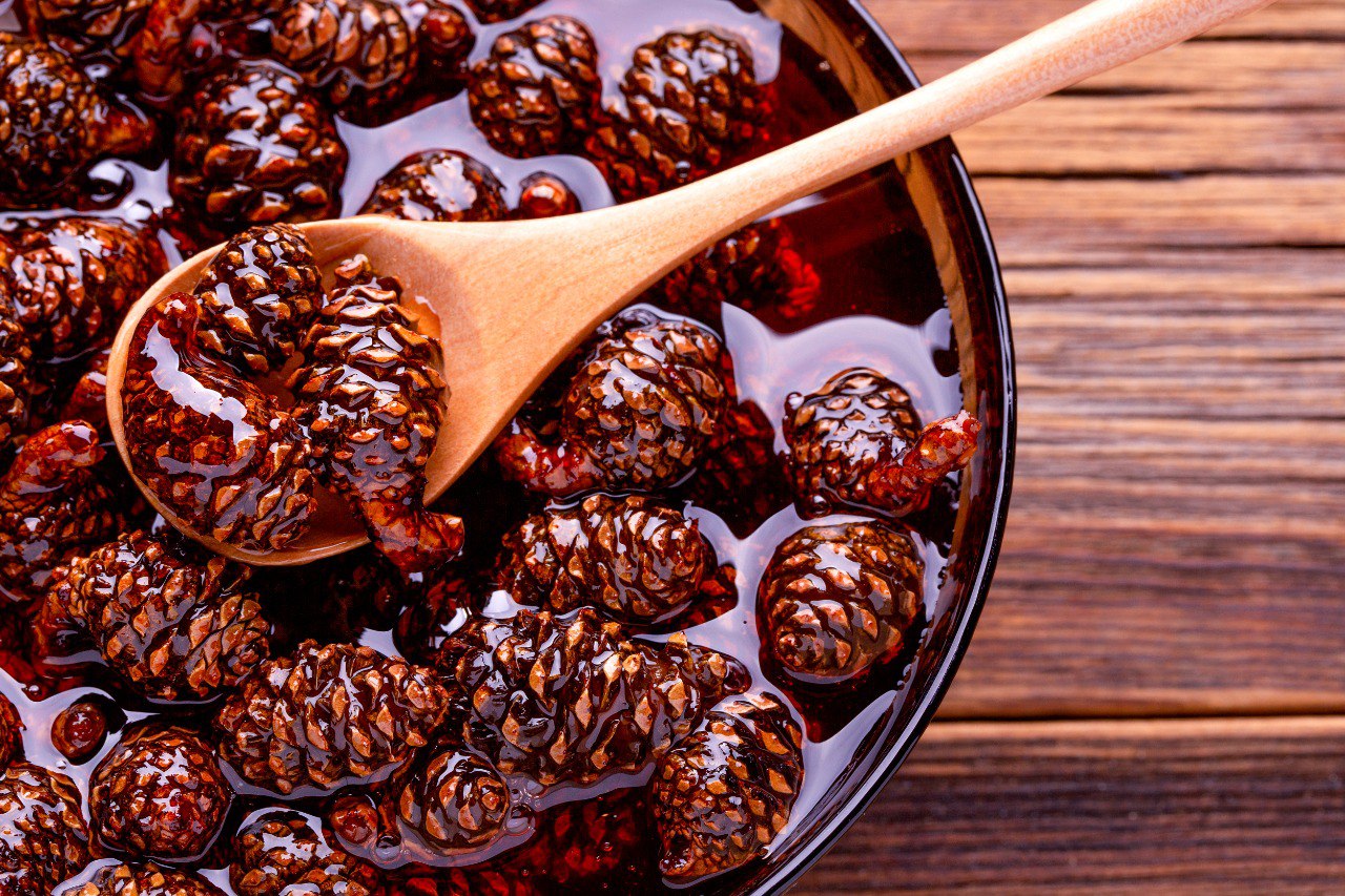 День Сибири: удивительные факты о регионе, достойные вашего внимания День Сибири: удивительные факты о регионе, достойные вашего внимания