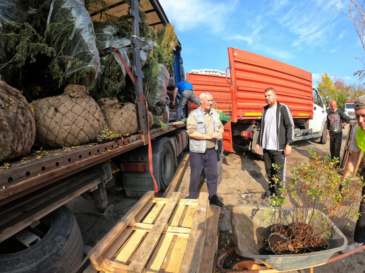 Янина Павленко: Сегодня получили большую партию саженцев – более 1000 единиц древесных и кустарниковых растений Янина Павленко: Сегодня получили большую партию саженцев – более 1000 единиц древесных и кустарниковых растений