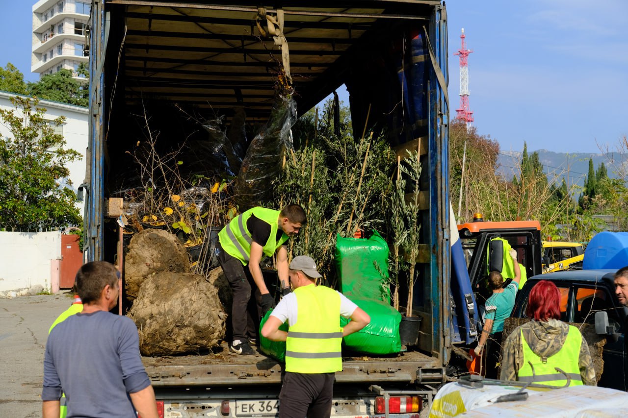 Янина Павленко: Сегодня получили большую партию саженцев – более 1000 единиц древесных и кустарниковых растений Янина Павленко: Сегодня получили большую партию саженцев – более 1000 единиц древесных и кустарниковых растений