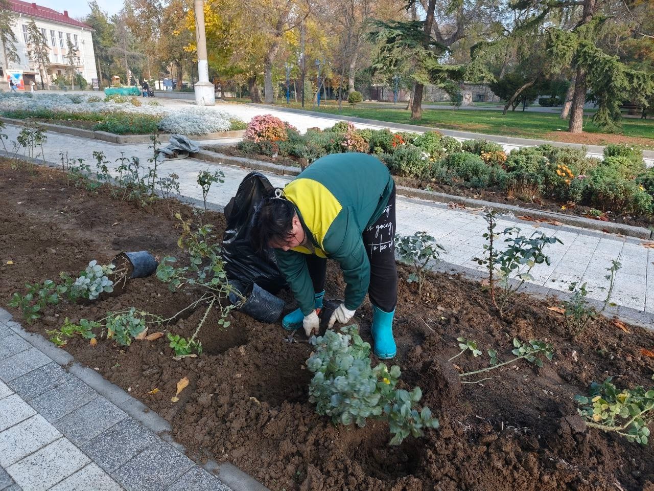 В Феодосии продолжается высадка цветущих многолетников В Феодосии продолжается высадка цветущих многолетников