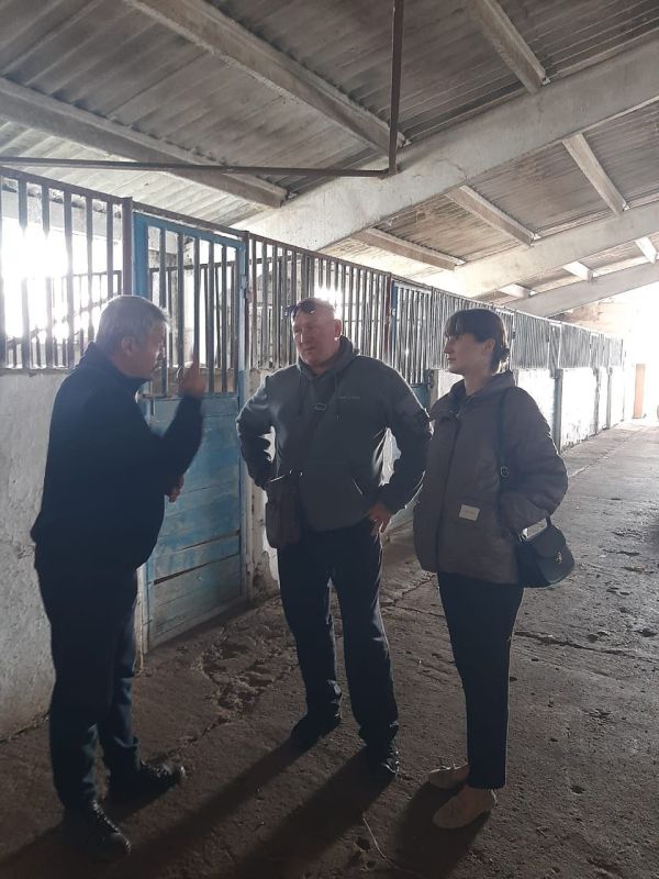 ������� ����� � ������ ��������� ������ �����: �������� �������������� �����������