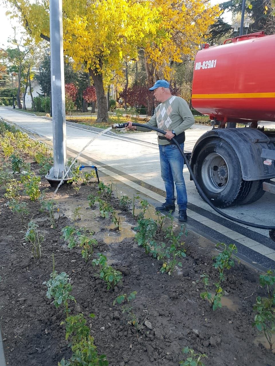 В Феодосии продолжается высадка цветущих многолетников В Феодосии продолжается высадка цветущих многолетников