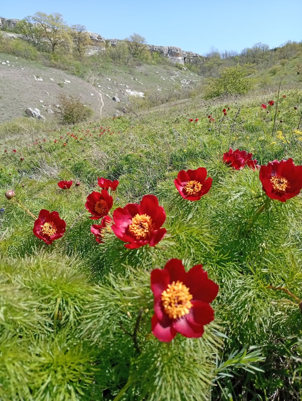 Министр экологии и природных ресурсов Республики Крым Ольга Шевцова наградила победителей регионального заочного конкурса «Крым в фокусе экообъектива» Министр экологии и природных ресурсов Республики Крым Ольга Шевцова наградила победителей регионального заочного конкурса «Крым в фокусе экообъектива»