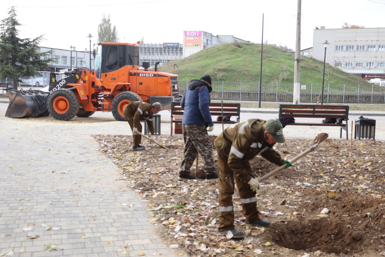 В Керчи до конца месяца высадят около 70 деревьев В Керчи до конца месяца высадят около 70 деревьев