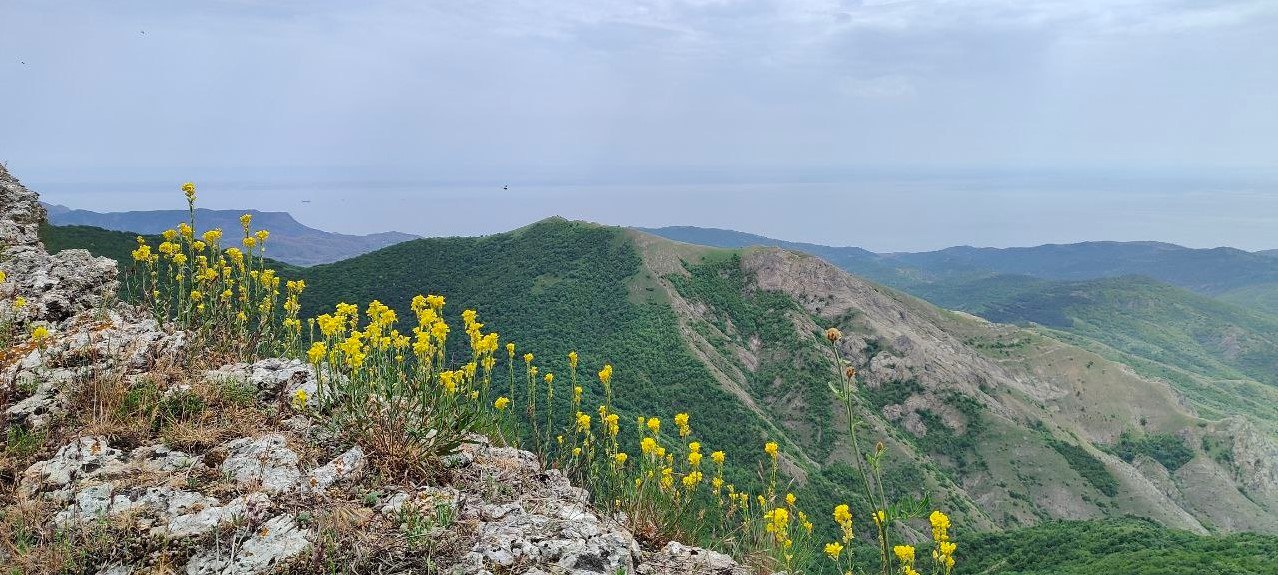 Министр экологии и природных ресурсов Республики Крым Ольга Шевцова наградила победителей регионального заочного конкурса «Крым в фокусе экообъектива» Министр экологии и природных ресурсов Республики Крым Ольга Шевцова наградила победителей регионального заочного конкурса «Крым в фокусе экообъектива»