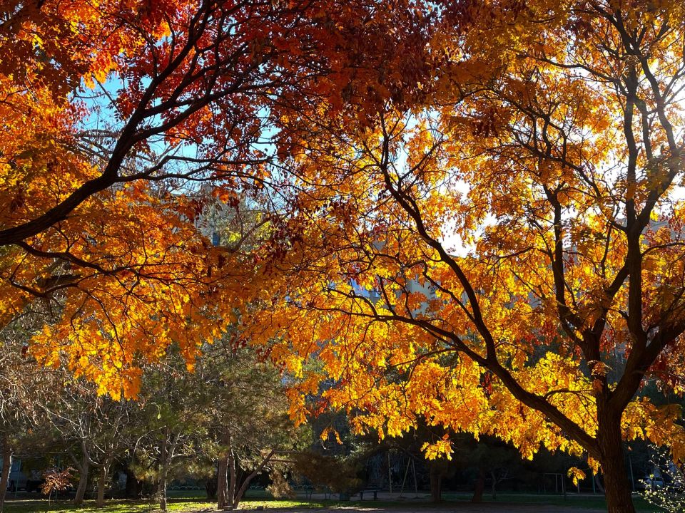 � ������ �����, �������!. ����� ��� ����������� ���� ����� �������� �������� �������, ������� ������ � ���������� ���������