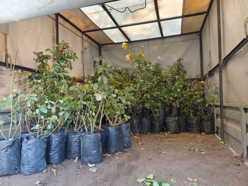 � �������� ������������ ������� �������� �������������