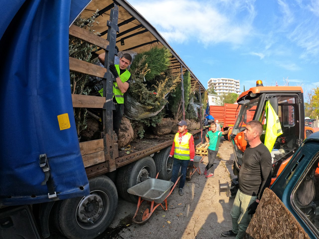 Янина Павленко: Сегодня получили большую партию саженцев – более 1000 единиц древесных и кустарниковых растений Янина Павленко: Сегодня получили большую партию саженцев – более 1000 единиц древесных и кустарниковых растений