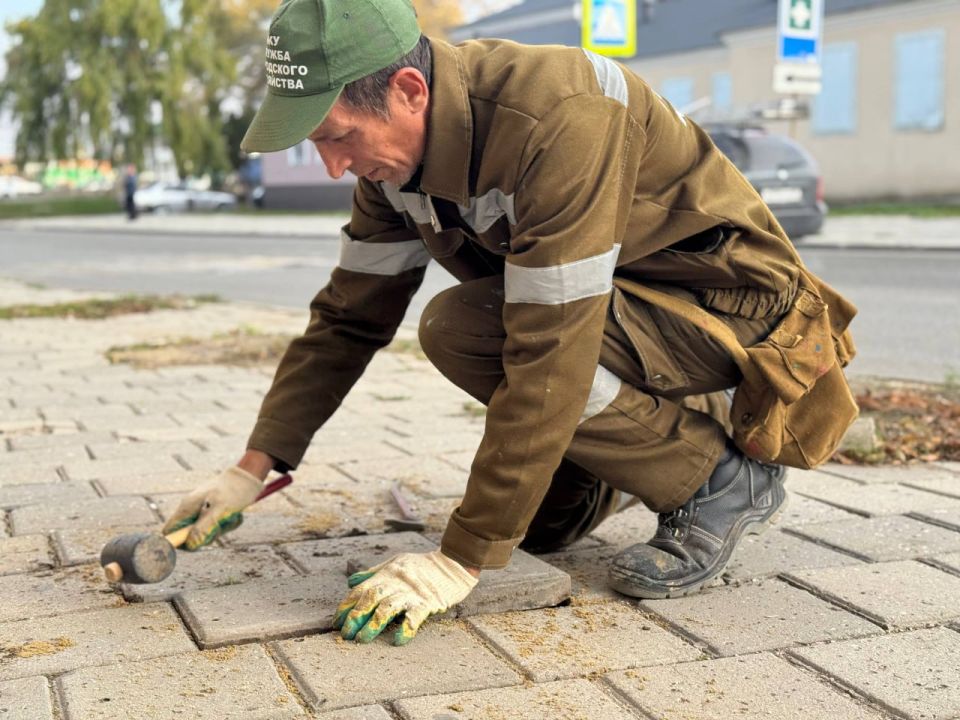 ������� ������ ���������� ��������� ��������������� ������ �� ��������� �� ����� ������������