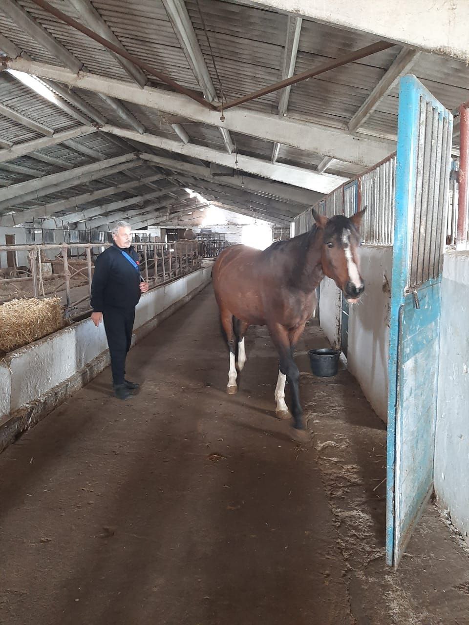 Рабочий выезд в рамках программы «Герои Крыма»: развитие животноводства полуострова Рабочий выезд в рамках программы «Герои Крыма»: развитие животноводства полуострова