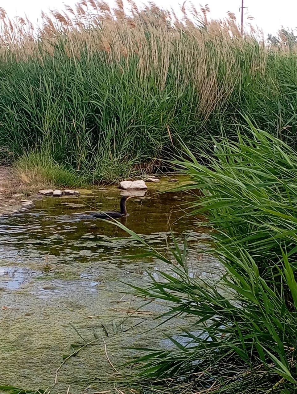 Министр экологии и природных ресурсов Республики Крым Ольга Шевцова наградила победителей регионального заочного конкурса «Крым в фокусе экообъектива» Министр экологии и природных ресурсов Республики Крым Ольга Шевцова наградила победителей регионального заочного конкурса «Крым в фокусе экообъектива»