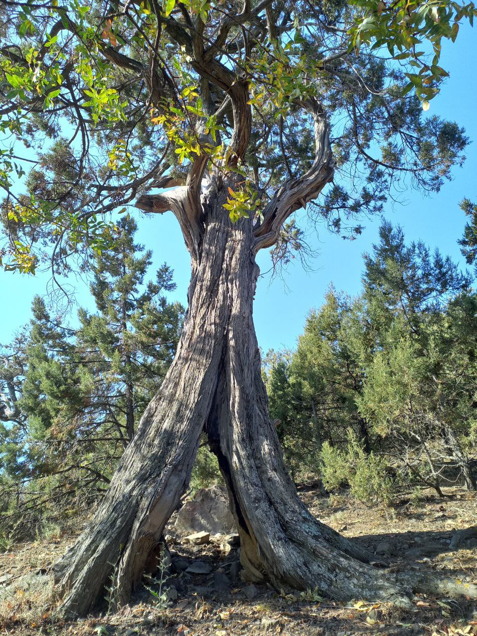 Министр экологии и природных ресурсов Республики Крым Ольга Шевцова наградила победителей регионального заочного конкурса «Крым в фокусе экообъектива» Министр экологии и природных ресурсов Республики Крым Ольга Шевцова наградила победителей регионального заочного конкурса «Крым в фокусе экообъектива»