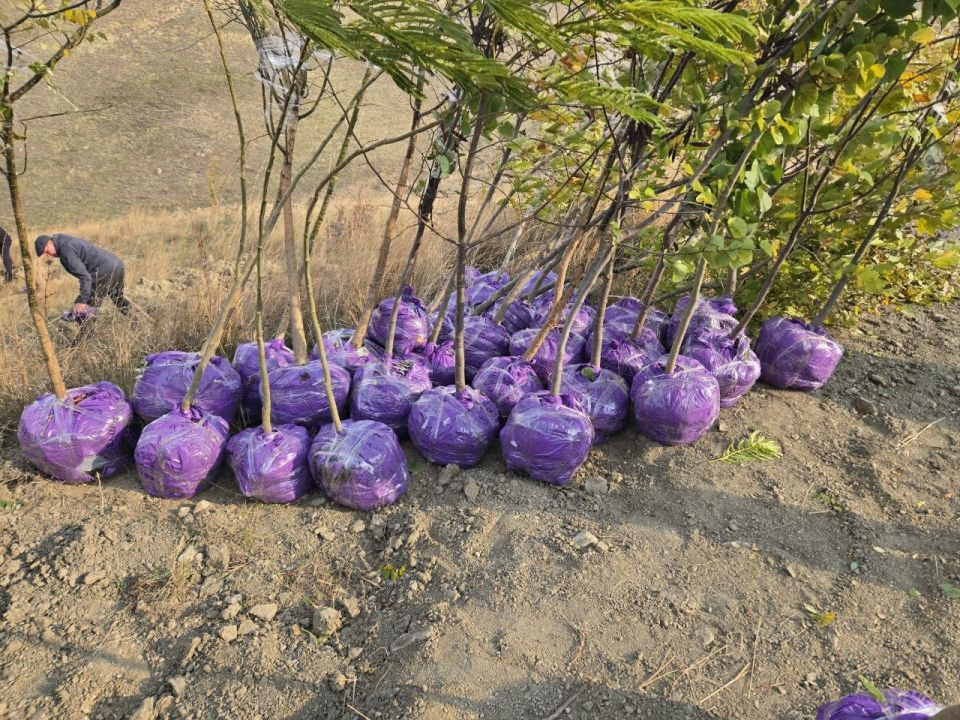 Сегодня в Коктебеле Межрегиональная общественная организация "Ветераны специальной военной операции Крыма и Севастополя", руководителем которой является Дмитрий Трефилов, совместно со спортивным клубом "Крым 4/4"... Сегодня в Коктебеле Межрегиональная общественная организация "Ветераны специальной военной операции Крыма и Севастополя", руководителем которой является Дмитрий Трефилов, совместно со спортивным клубом "Крым 4/4"...