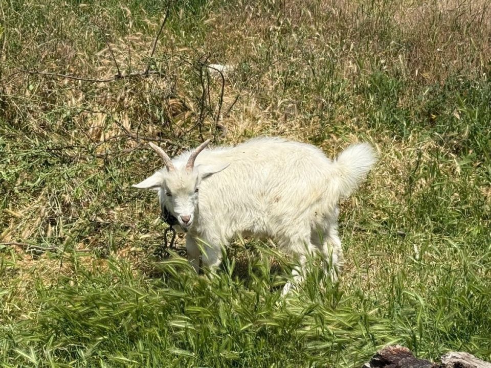 ����� ��������: ����� �������� ������, �� ����� ������� ��. ������� �����������, ����� ��������� � �����, ��� ������� �����