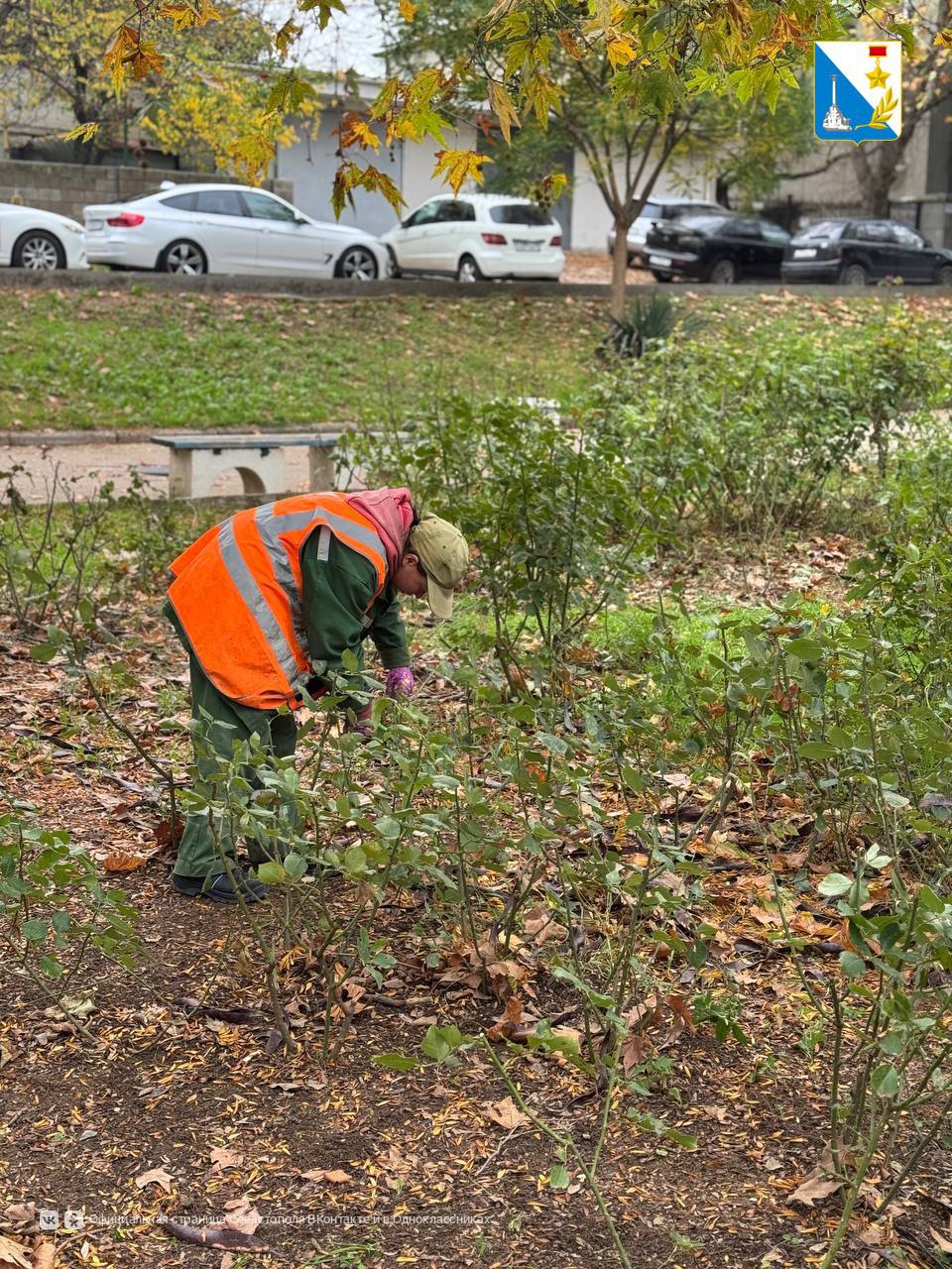 Ухаживаем за парками и скверами Ухаживаем за парками и скверами