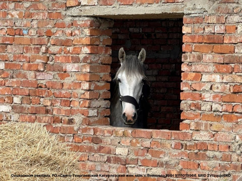 ����� ��������: ����� �������� ������, �� ����� ������� ��. ������� �����������, ����� ��������� � �����, ��� ������� �����