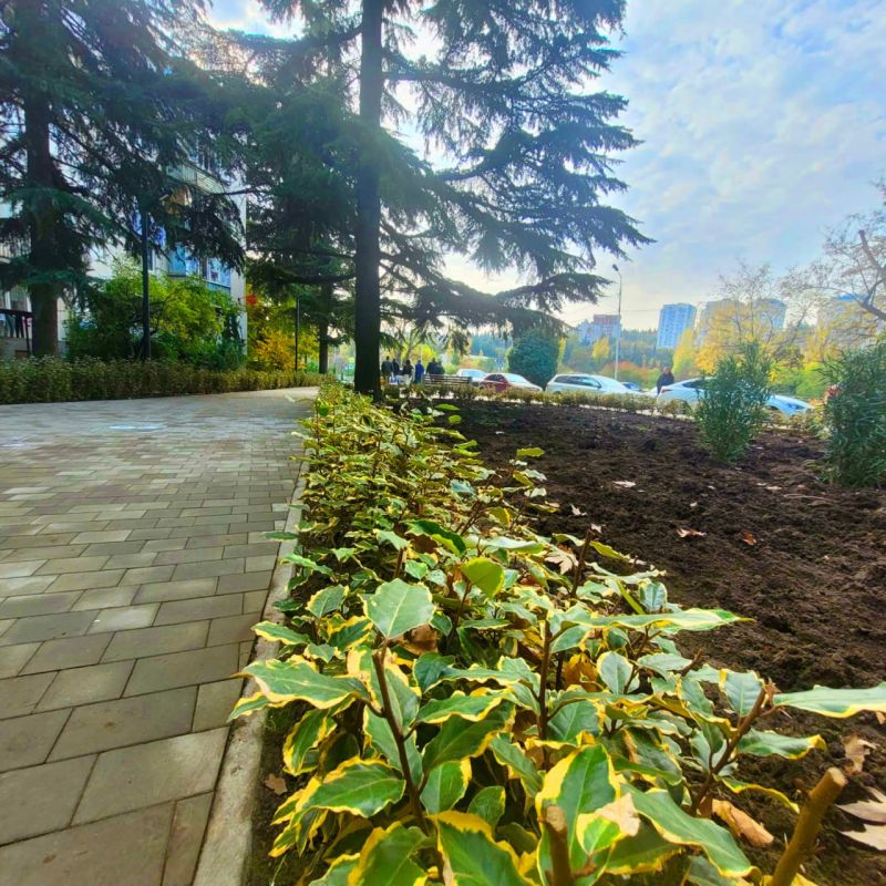 ������ ������: ��������� ������� ������� �������� � ����� ������� ������!