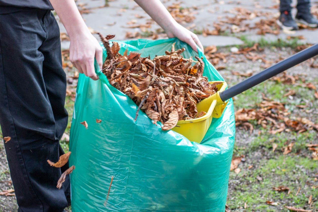 К общегородскому субботнику присоединились школьники К общегородскому субботнику присоединились школьники