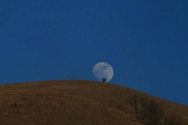 ��������� ���: �������� ����:. ��������� ��������� ���