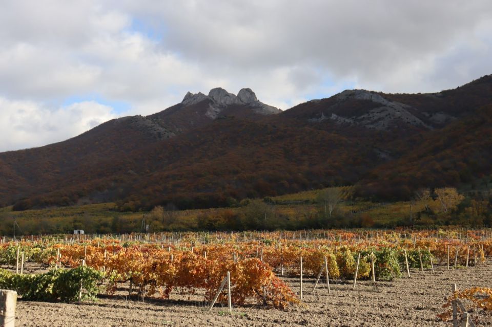 ������� ������ � ����� �� 8 ������