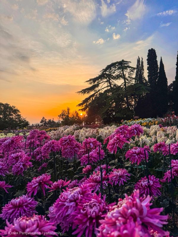 ���������� ���������� ������������� ���� �� ������