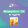 Рассказываем, как прошла наша неделя