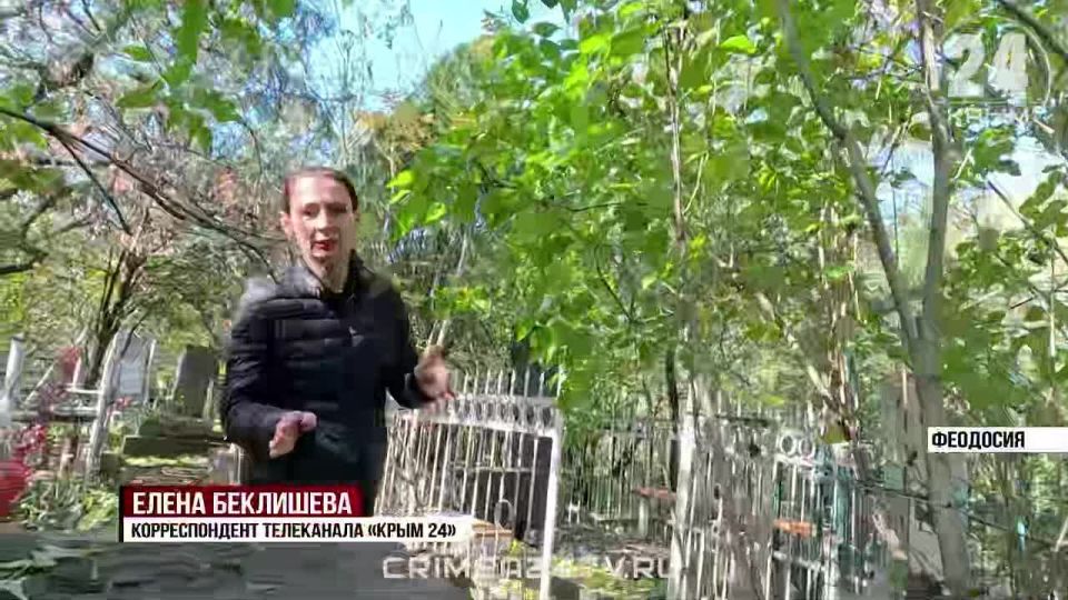 ������������ ������ � �������� �������� �������� ����������� ��������