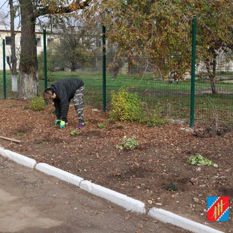 � ���� ����������� ����������� ������ �� ������������ ������� �������� ����