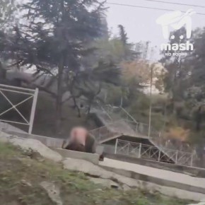 ,          &quot;  &quot;   