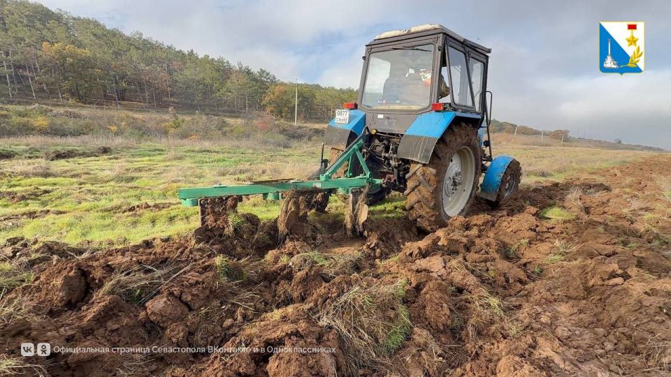 Готовим почву для будущих лесов Готовим почву для будущих лесов
