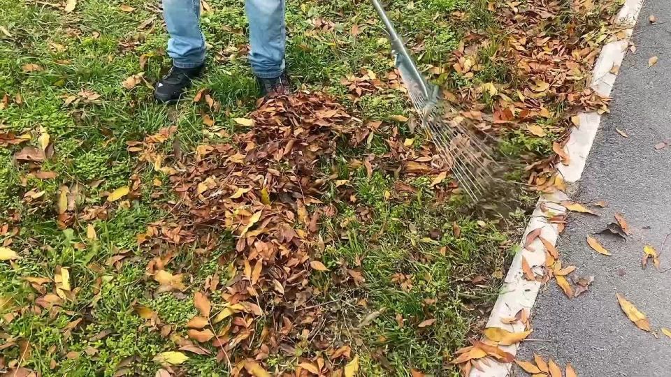 ��������� � ������ �������� 5 ������ ���������, ������ ������� � �������� ������� �� �����������, �� ����������� � ����������