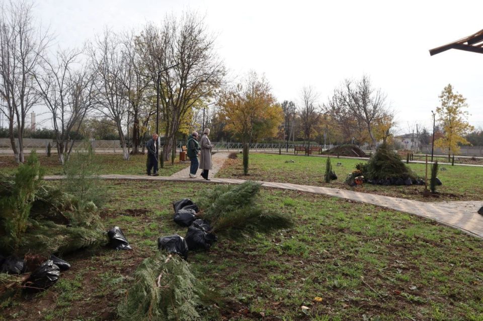 Инна Федоренко: В текущем году выполнили благоустройство парковой зоны в селе Светлое Инна Федоренко: В текущем году выполнили благоустройство парковой зоны в селе Светлое