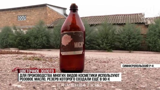 В Крыму планируют возродить производство масла из лепестков розы