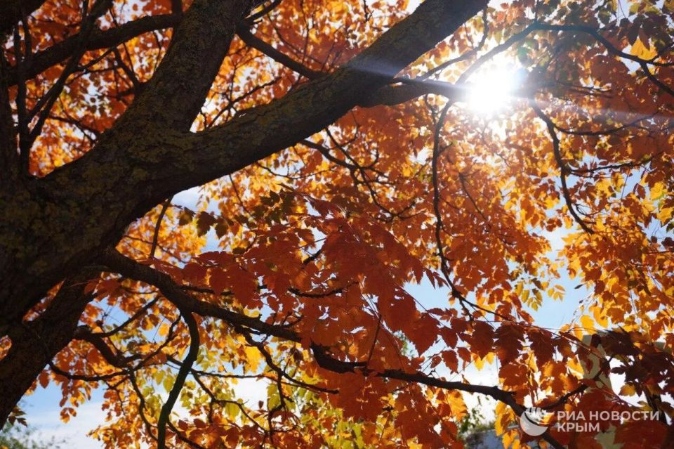 ������� ������ � ����� �� �������