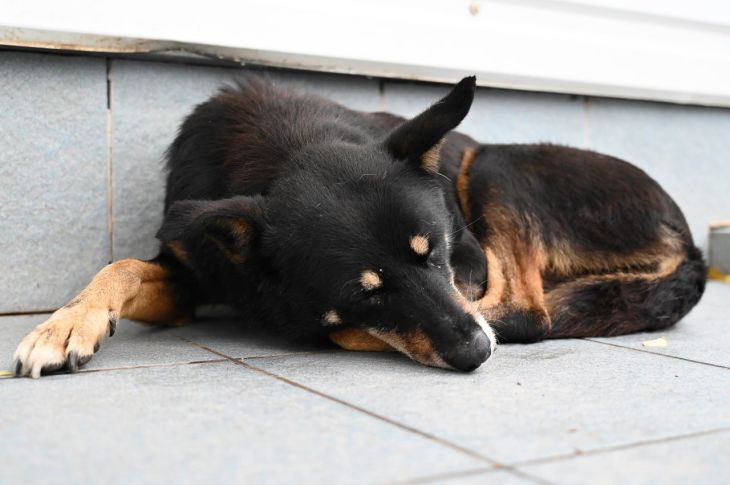 50 ����� ������ �������� ������������� ������ �� ���� ������