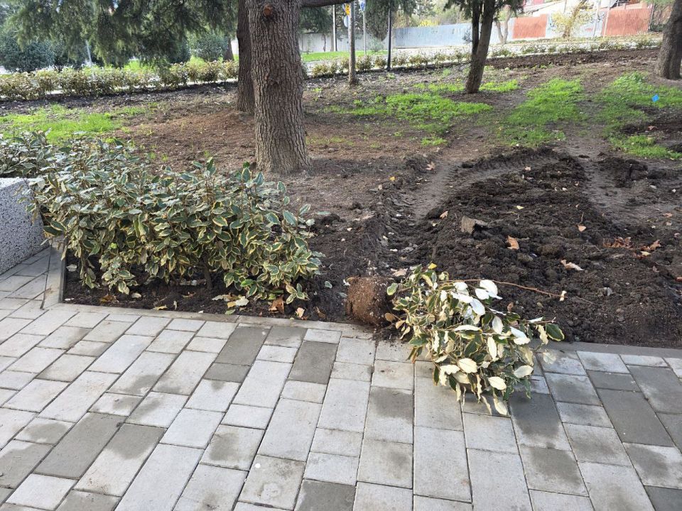 ������ ������: ��������� ��� �������������!