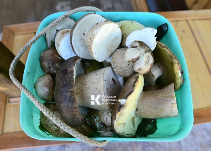 ����� ���������� ���������� ��� � �����, �������, ������� ��������� ������� �����