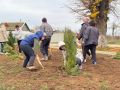 В селе Луганское высадили 160 саженцев деревьев в новом парке