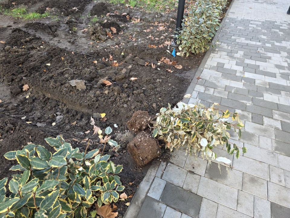 ������� ������ ��������������� ���������� � ������