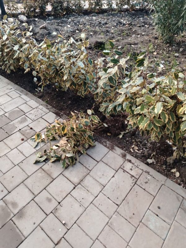 ������ ������: ��������� ��� �������������!