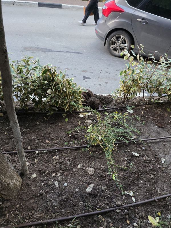 ������ ������: ��������� ��� �������������!