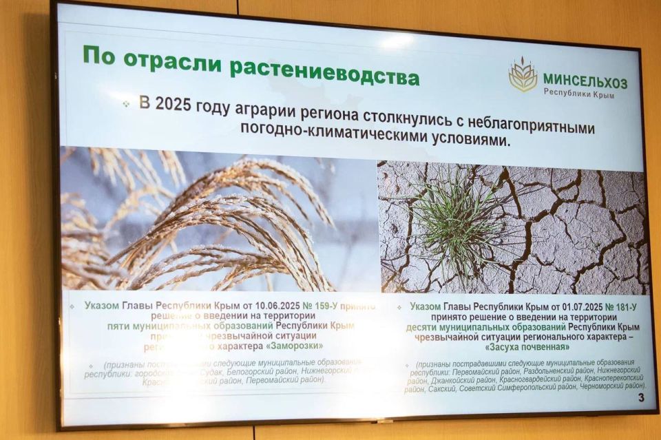 Анастасия Гридчина: В парламенте Республики Крым состоялось заседание Президиума Государственного Совета Анастасия Гридчина: В парламенте Республики Крым состоялось заседание Президиума Государственного Совета