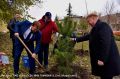 Памятную аллею высадили в сквере им. Молодой гвардии Луганска в рамках международной эколого-патриотической акции "Сад Памяти"