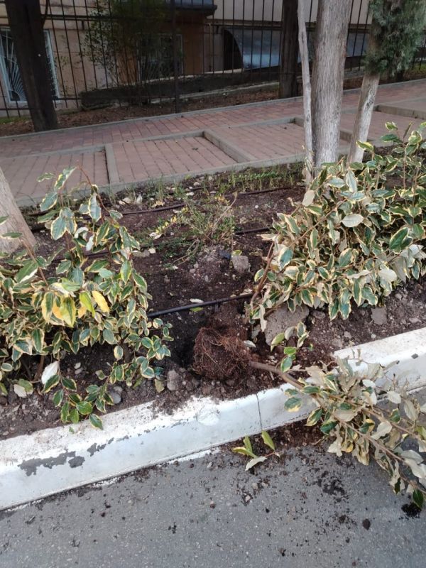 ������� ������ ��������������� ���������� � ������