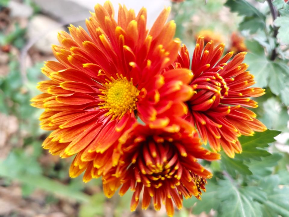 � ������ �����, �������!. ����� ��� ���� ����� ������ ��������� � �������� ����� ����� ������! ������� � �������� ������������ ����������, t + 10 - +13, ����� ���������, ����-���������