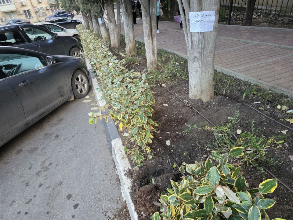 ������ ������: ��������� ��� �������������!